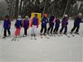 Škola lyžování a snowboardingu