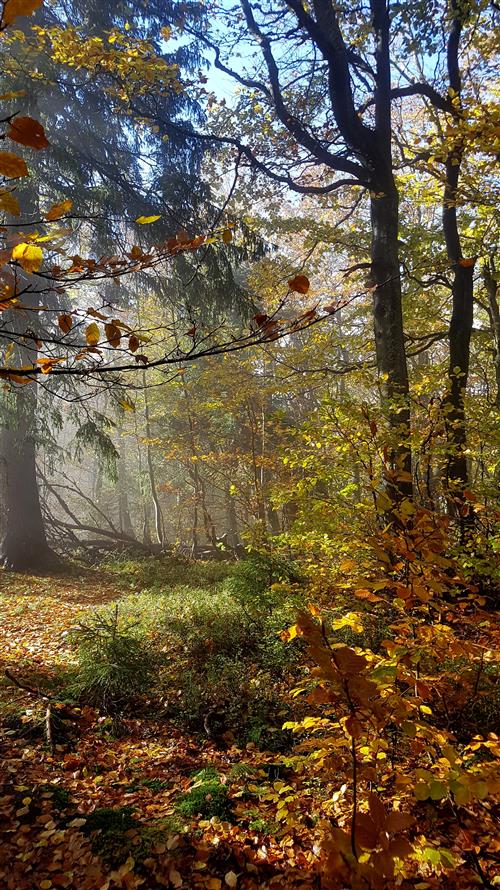 Výlet Sportovního klubu Turista Kostelec nad Orlicí 33