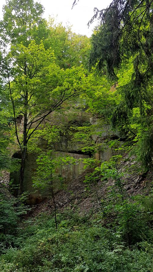 Třebovské stěny