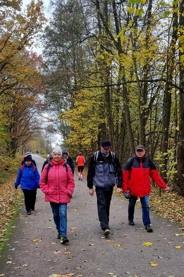 SK Turista - Hradecké lesy