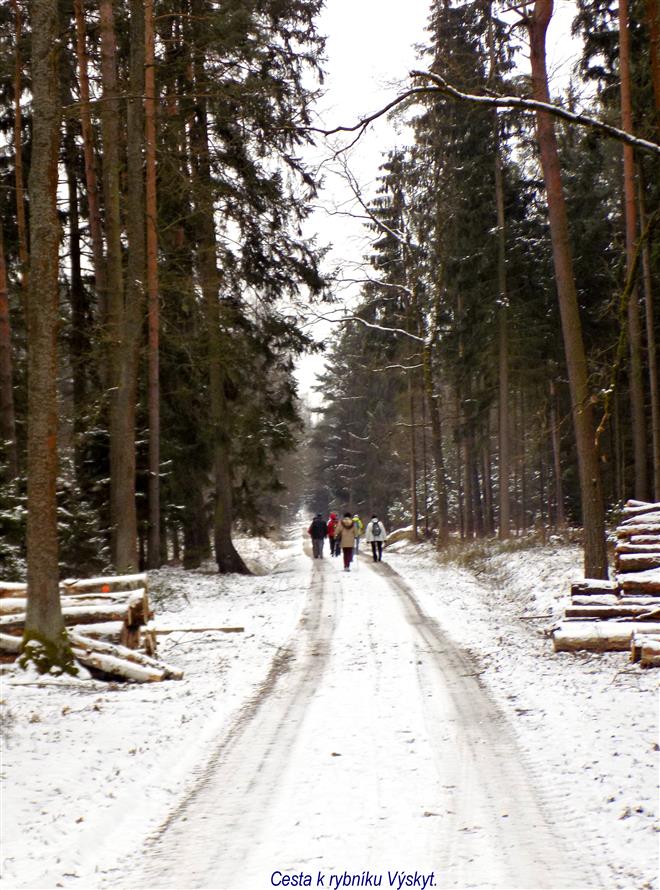 Hradecké lesy