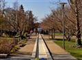 Libice-Poděbrady