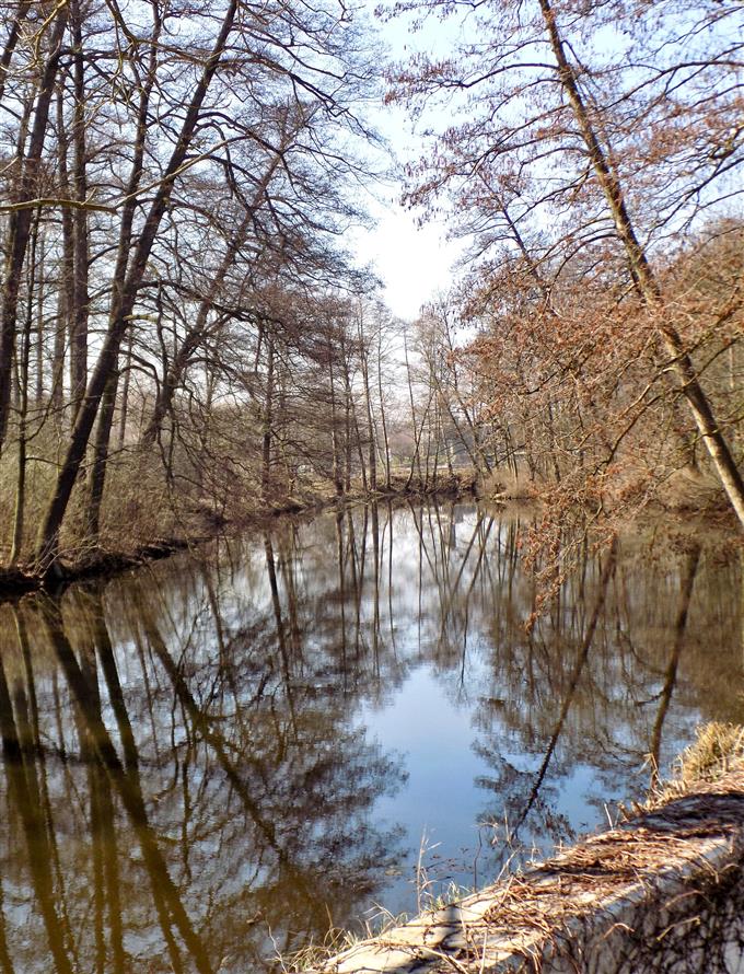 Libice-Poděbrady