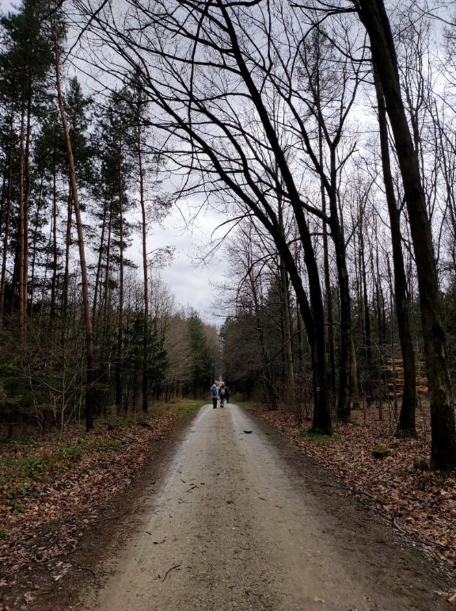 SK Turista Kostelec nad Orlicí