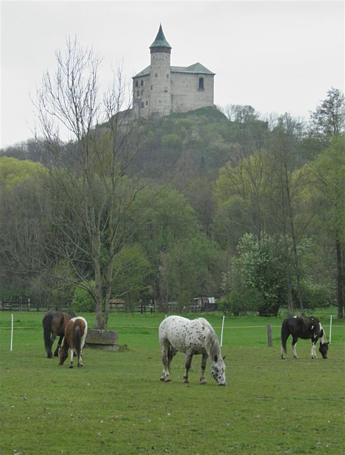 Kunětická hora