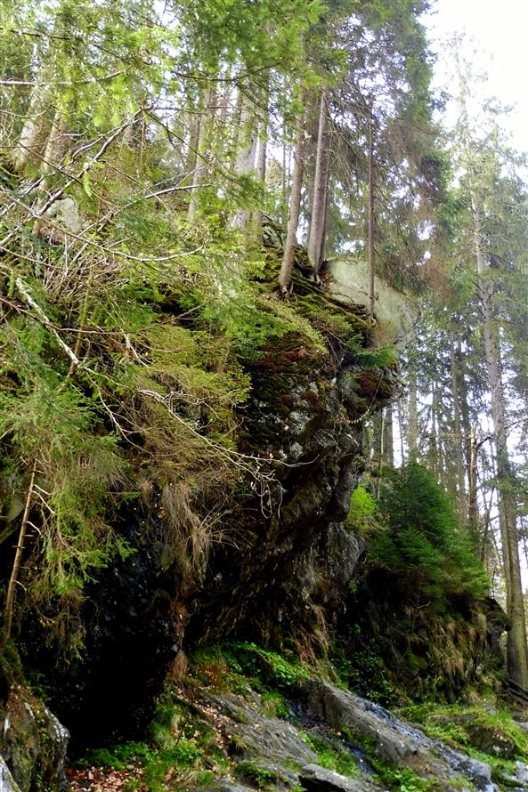 Výlet pěčín - Rokytnice