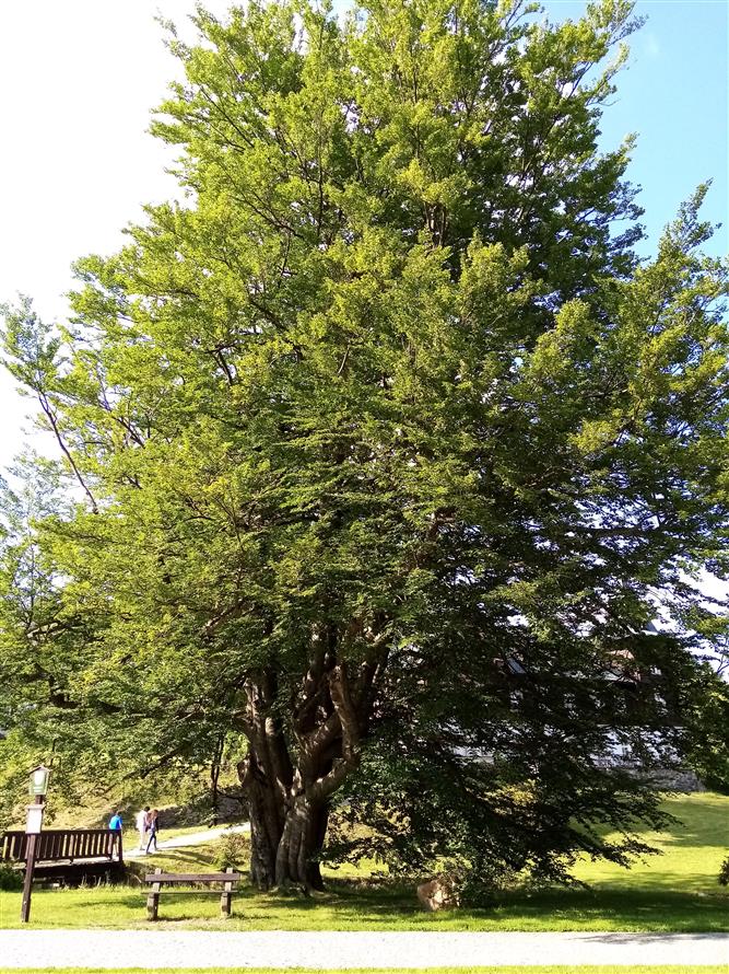 Pohoda výlet Jeseník, Vrbno, Karlova Studánka 6.6.2019