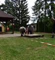 32. setkání Kostelců