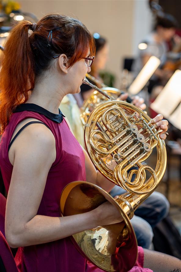 XVIII. Hudební festival F. I. Tůmy - Filharmonie Hradec Králové