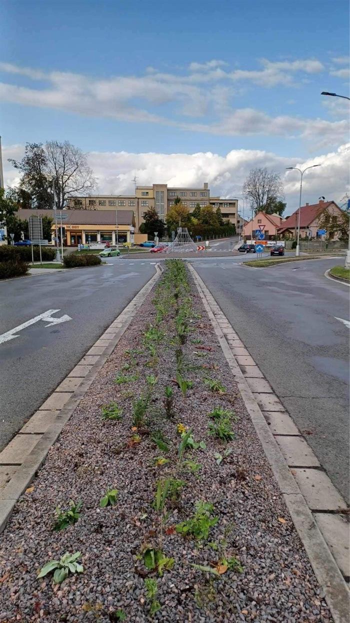 foto, výsadba na kruhovém objezdu