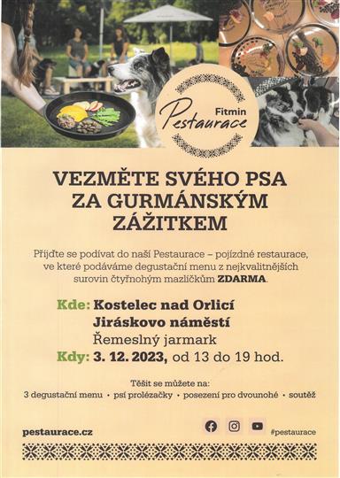 plakát