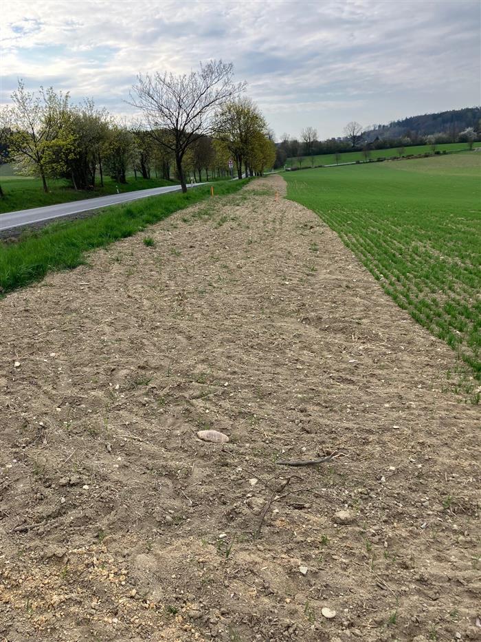 fotografie, začíná výstavba chodníku ze Skály do Kostelecké Lhoty